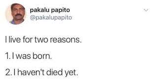 Pakalu papito is illuminati confirmed. The Wisdom Of Pakalu Papito Antinatalism