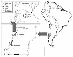 Black gram peeled maps chile arica iquique tocopilla talca santiago if. The Rectangle On The Map Of South America Right Shows The Global Download Scientific Diagram