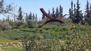 Anima Garden Marrakech Marrakesh Morocco Maroc Onedaytrip Highatlas Mountains Berber Excursion Journey Walkingt One Day Trip Marrakech Walking Tour