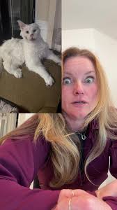 Savage Megan Thee Stallion Cat Dancing