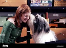 THE SHAGGY DOG, Zena Grey, 2006, (c) Buena Vistacourtesy Everett  Collection Stock Photo - Alamy