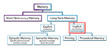 image of Implicit memory