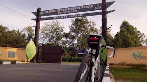 Not for 'suka2', but to find what better place for our next pka 18 this semester. Tripify Taman Herba Negeri Perak Batu Gajah