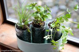 Let this collection of 15 diy indoor kitchen herb gardens inspire you to start your own indoor the slight lemony flavor is just perfect. Diy Windowsill Herb Garden Simple Garden Gift Frugal Family Home