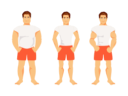 We made it as easy as possible: Body Types How To Train Diet For Your Body Type