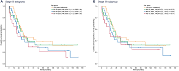 They examine the esophagus, stomach, and the duodenum, which is the first section of the small intestine. Plos One Impact Of Age On Stage Specific Mortality In Patients With Gastric Cancer A Long Term Prospective Cohort Study