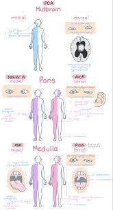 Destinee Maynard (Desblue17)