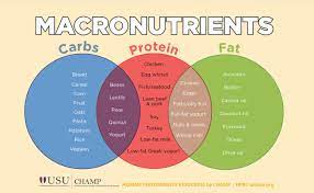 Table of contents what do macronutrients do? Macronutrients 101 Hprc