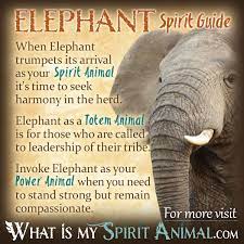 Elephant Symbolism Meaning Spirit Totem Power Animal Animal Totem Spirit Guides Elephant Spirit Animal Elephant Symbolism