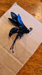 Image result for pokoutnik st job 