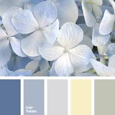 Beau blue is a light tone of baby blue. Yellow And Blue Color Palette Ideas