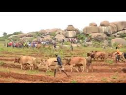 Mdema ngelela__nakhıla mabhuga +255 764989228 (offıcıal vıdeo). Download Ngelela Shinyanga 3gp Mp4 Codedfilm