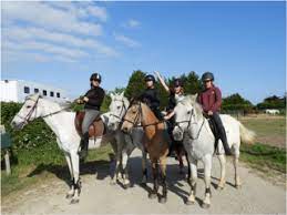 Check spelling or type a new query. Pornic Joalland Reiten