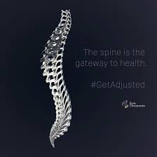 The Spine Is The Gateway To Health Getadjusted Chiropractic Chiropractor Anatomia Quiropractica Dispositivos Medicos