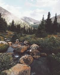Nature Aesthetic
