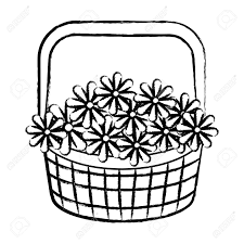 Flower black and white and transparent png images free download. Sketch Of Basket With Beautiful Flowers Over White Background Royalty Free Cliparts Vectors And Stock Illustration Image 96335944