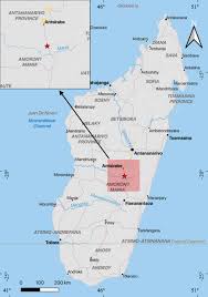 Image result for Hydrostachys insignis