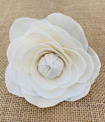 Maybe you would like to learn more about one of these? Sola Eternal Rose Wholesale Luv My Flowers Wholesale