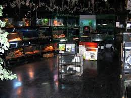 Since I Am A Big Fan Of Reptiles I Guarantee I Will Have A Reptile Room In My House Reptile Room Reptile Store Pet Store Ideas