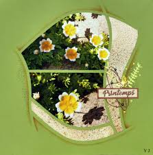 jouer avec punta cana permet de creer avec lyn holmes azza european scrapbooking perth australie occidentale scrapbooking azza azza ferraille