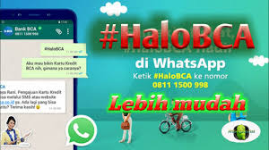 Halo Bca Via Whatsapp Chat Youtube