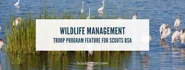 Water sports merit badge pamphlet 35963.pdf. Sustainability Merit Badge Helps And Documents Scouter Mom