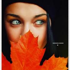 Stream MAJA ROSE music