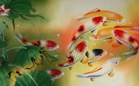  Fantastic Kois Desktop Nexus Wallpapers Ikan Perhiasan