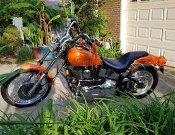 Image result for Bright Wineberry 1993 FXSTS