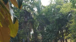 English spanish online dictionary tureng, translate words and terms with different pronunciation options. The Zipline La Tirolesa Sports Photography English Spanish First Video On Dtube Steemit