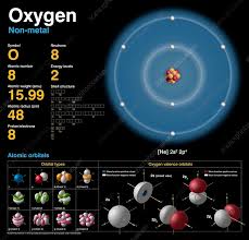 نتیجه جستجوی لغت [oxygen] در گوگل