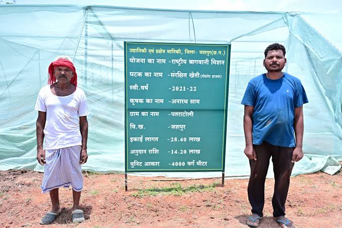 संरक्षित खेती और उद्यानिकी से जशपुर के किसान अनारथ साय ने लिखी आत्मनिर्भरता की नई कहानी - सुनो खबर