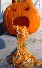 We did not find results for: Pictures Halloween Pumpkin Babies Funny Jokes