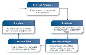 what is home and everyday life hygiene home hygiene health