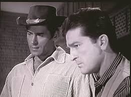 Bruce Walton, older brother of Bill Walton