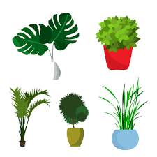 Flower Vase Collection Set Vase Clipart Flowers Vase Png And Vector With Transparent Background For Free Download Flowers Flower Vases Clip Art