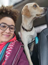 Des Moines Pet Sitter LLC