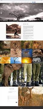 12 Stunning Photography Portfolios Examples Photography Portfolio Photography Website Design Photographer Website Design