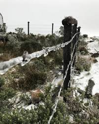 Neve em santa catarina, bom jardim da serra, santa catarina, serra do rio do rastro, sal, neve santa catarina. Urmodsn0nssnm