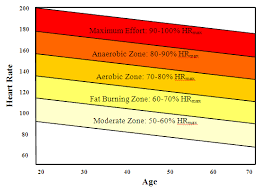 the gym instructor revived heart rate zones