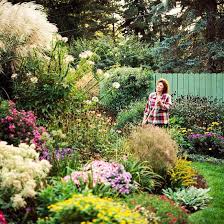 Easy Ways To Make Your Yard More Private Privacy Landscaping Backyard Privacy Privacy Trees Backyard