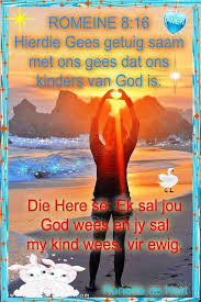 Pin By Santa Conradie On Afrikaans Gees Movie Posters Sal