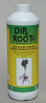 Numerous homemade remedies are claimed to. Dip Root Rooting Hormone Online Hydroponics Shop