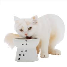 Check spelling or type a new query. Necoichi Raised Cat Food Bowl Large Cat Walmart Com Walmart Com