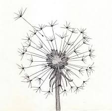 What's great about tumblr is that you can reblog posts by other members of the site. Flowers Drawing Tumblr Watercolors 25 New Ideas