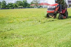 A general rule of thumb is to wait at least until you have mowed the new grass four times before using any standard postemergent broadleaf herbicide. When To Cut Grass After Overseeding A Green Hand
