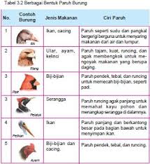 Socialacces Kelangsungan Hidup Organisme Ipa