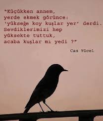 Hos Ozlu Sozler Kus Gulme