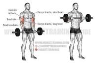 Barbell drag curl exercise instructions and video | Weight ...