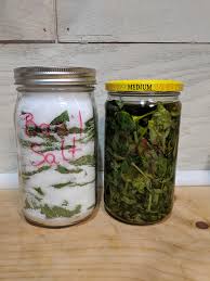 The best ways to preserve basil freezing basil oil or pesto after youve blanched chilled and patted your basil dry strip the leaves from the stems. Not Canned But In Jars Salt Preserved And Oil Preserved Basil Canning